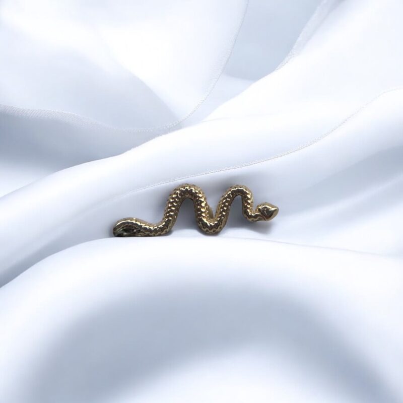 Delicate Snake - BVLA