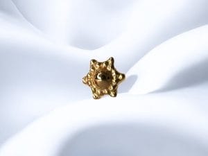 Afghan Star 14K - NAGA